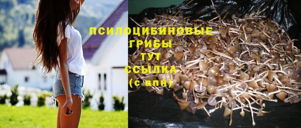 амфетамин Армянск